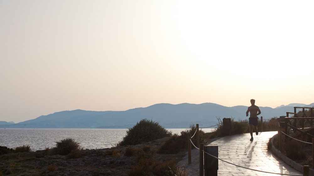 Hotel JS Palma Stay - Adults Only — Attractions in the area in Playa de Palma, Balearic Islands