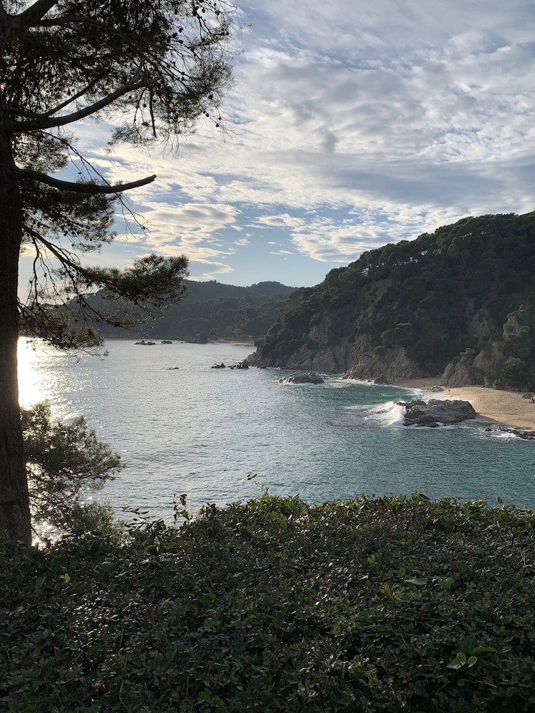 Cleopatra Spa Hotel — Attractions in the area in Lloret de Mar, Catalonia