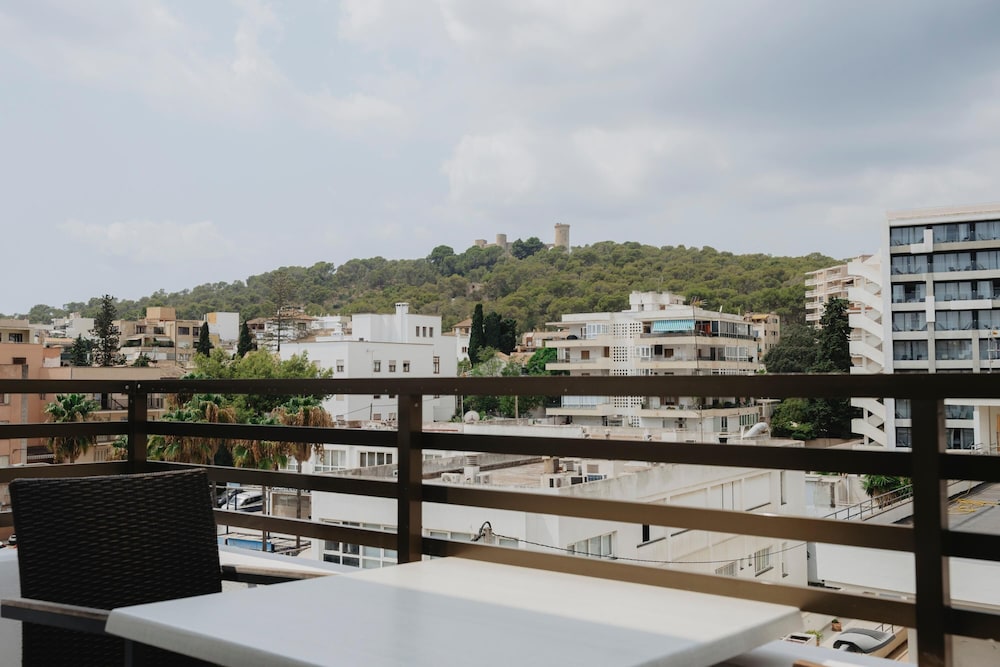 Gomila Palma Apartments - New Opening — Attractions in the area in Palma de Mallorca, Balearic Islands
