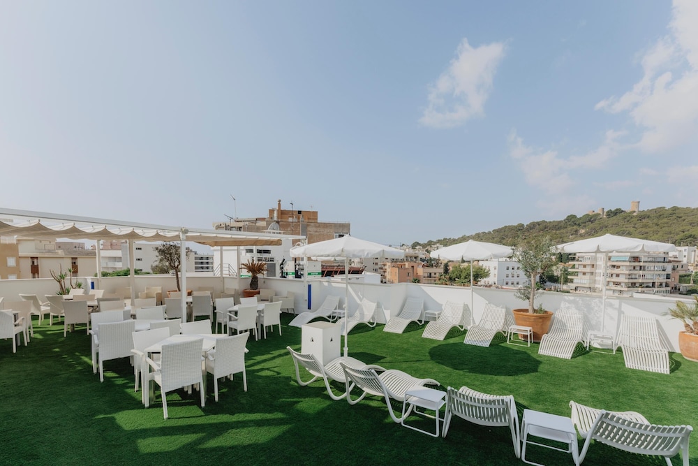 Gomila Palma Apartments - New Opening — Restaurant & bars in Palma de Mallorca, Balearic Islands