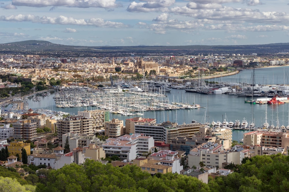 Gomila Palma Apartments - New Opening — Attractions in the area in Palma de Mallorca, Balearic Islands