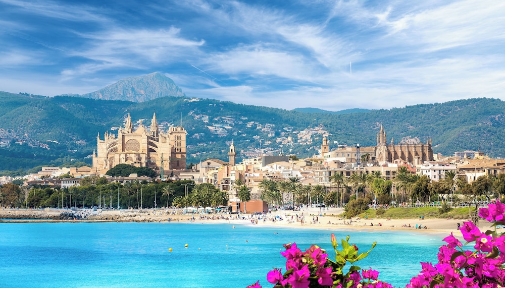 Gomila Palma Apartments - New Opening — Attractions in the area in Palma de Mallorca, Balearic Islands