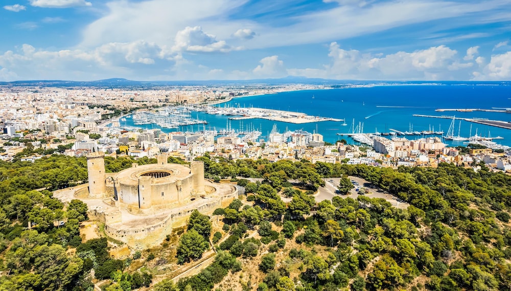 Gomila Palma Apartments - New Opening — Attractions in the area in Palma de Mallorca, Balearic Islands