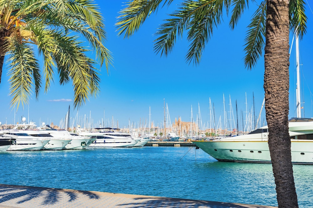 Gomila Palma Apartments - New Opening — Attractions in the area in Palma de Mallorca, Balearic Islands
