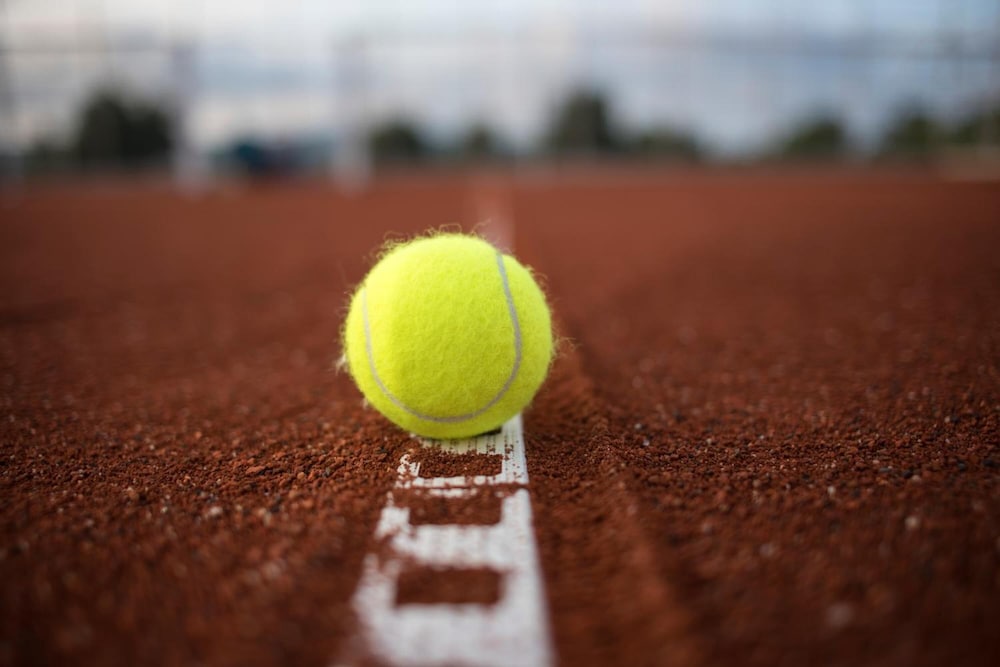 Plamena Palace — Sports & recreation in Primorsko, Burgas Region