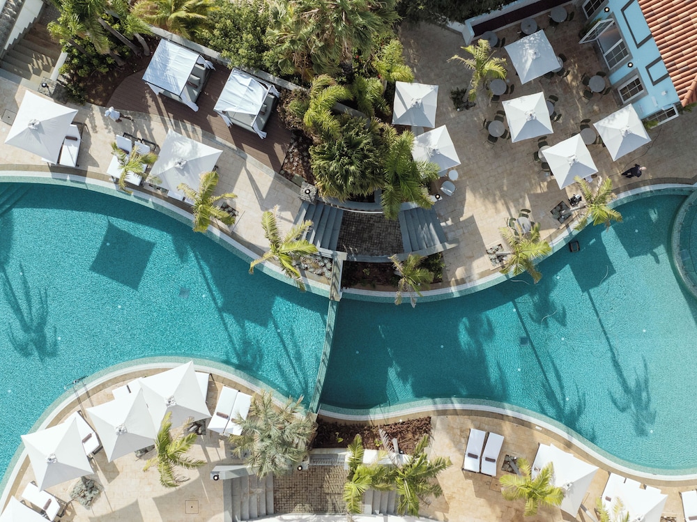 Hyatt Ziva Madeira - zdjęcie 2