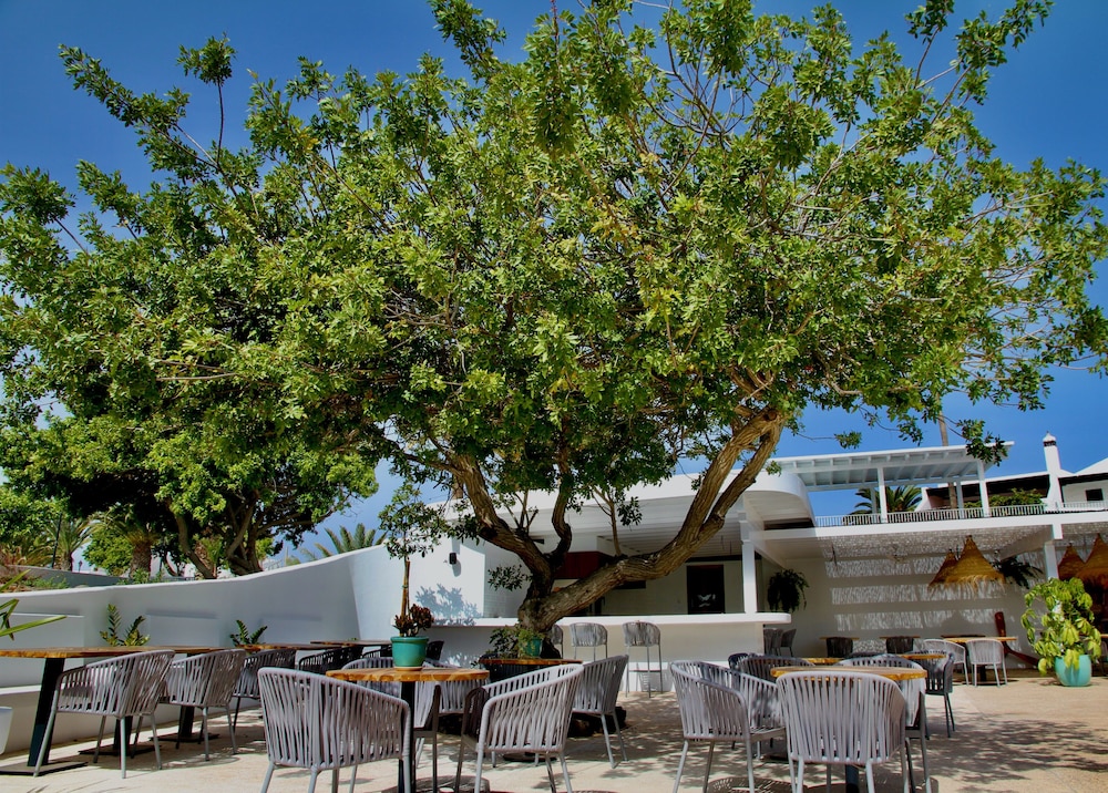 Casas Heddy Well-being Resort — Restaurant & bars in Puerto del Carmen, Canary Islands
