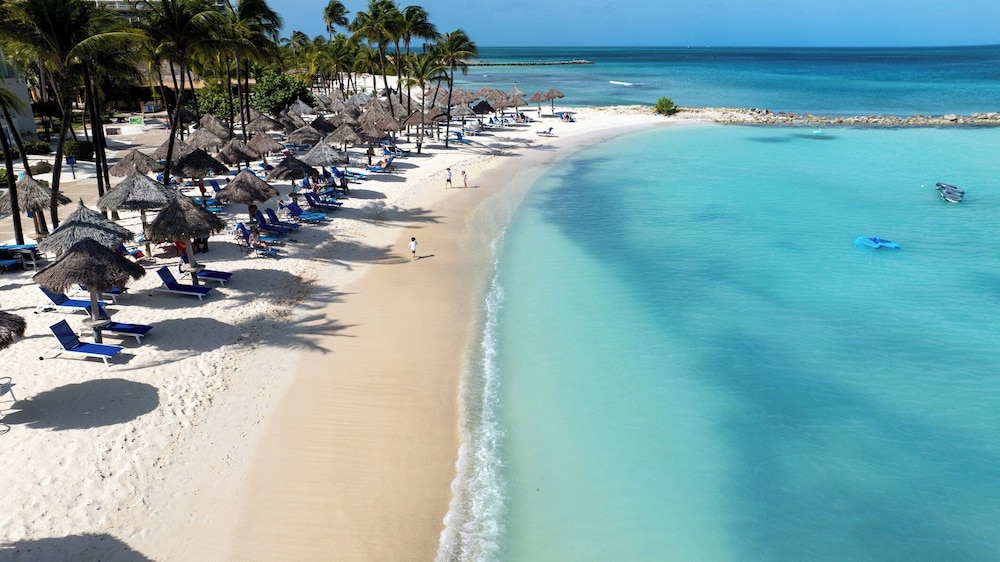 Divi Aruba Phoenix Beach Resort — Beach in Noord, Aruba