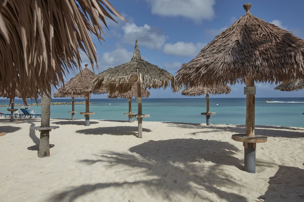 Divi Aruba Phoenix Beach Resort — Beach in Noord, Aruba