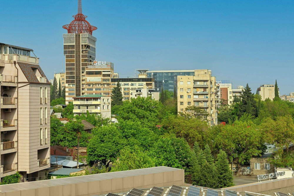Sheraton Grand Tbilisi Metechi Palace - zdjęcie 5