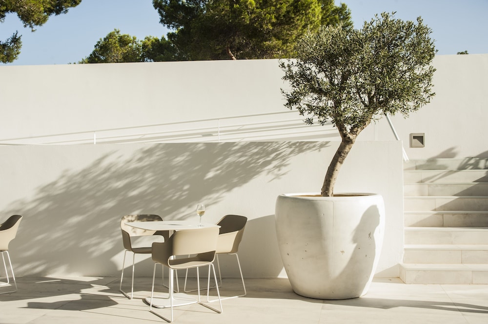 Hotel Ánfora Ibiza — Restaurant & bars in Santa Eulalia, Balearic Islands