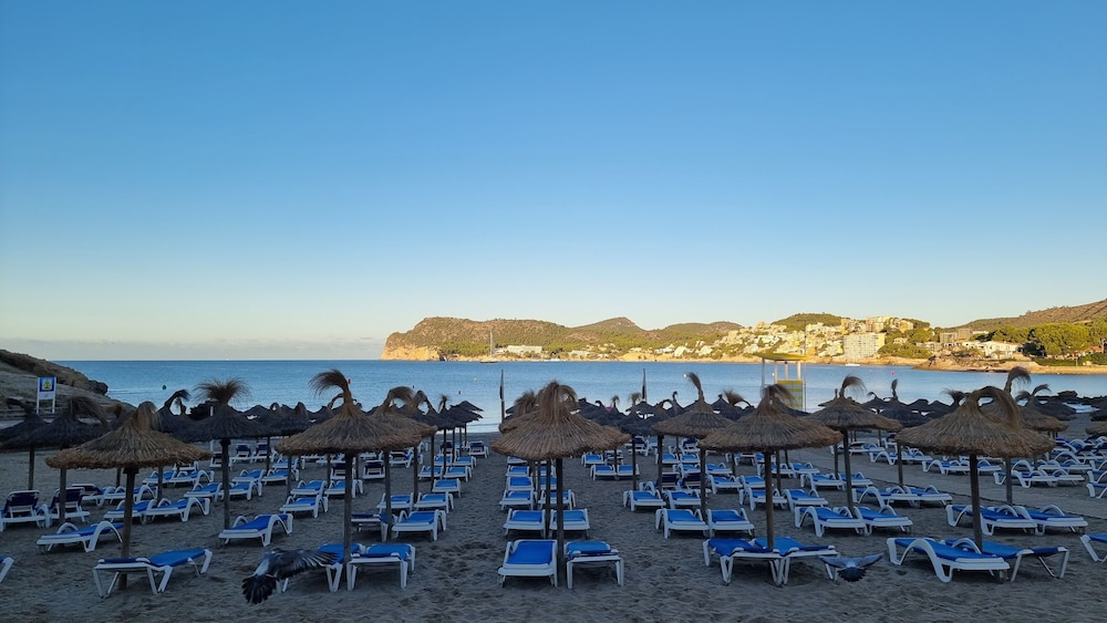 Hapimag Resort Paguera — Beach in Peguera, Balearic Islands