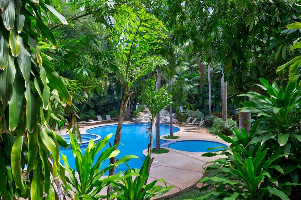 Riviera Maya Suites — Swimming pool in Playa del Carmen, Quintana Roo