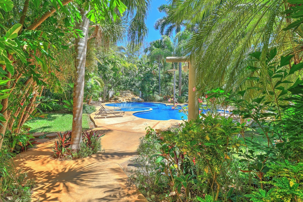 Riviera Maya Suites — Swimming pool in Playa del Carmen, Quintana Roo