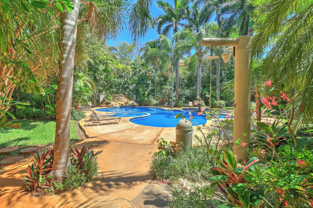 Riviera Maya Suites — Swimming pool in Playa del Carmen, Quintana Roo