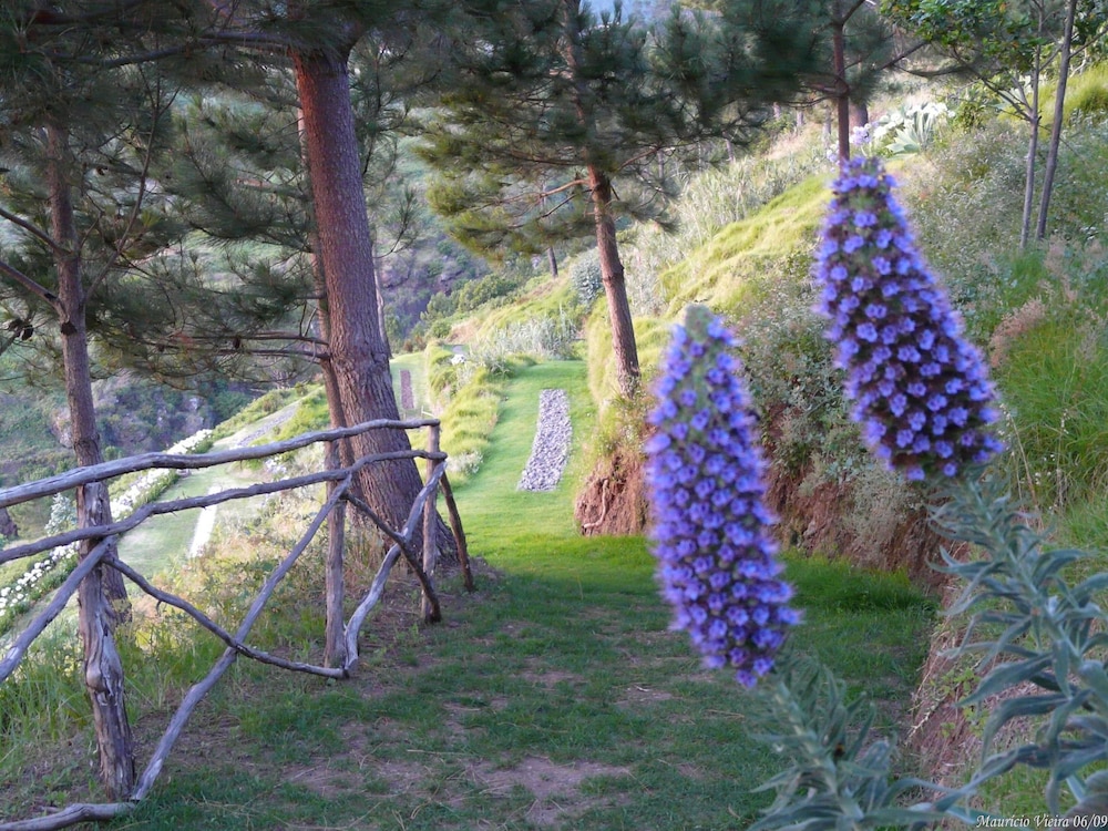 Hotel Jardim Atlantico — Attractions in the area in Calheta, Madeira