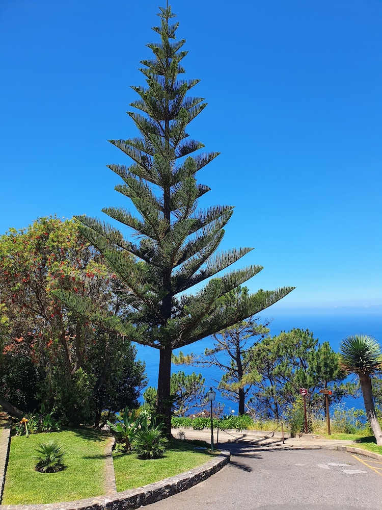 Hotel Jardim Atlantico — Attractions in the area in Calheta, Madeira