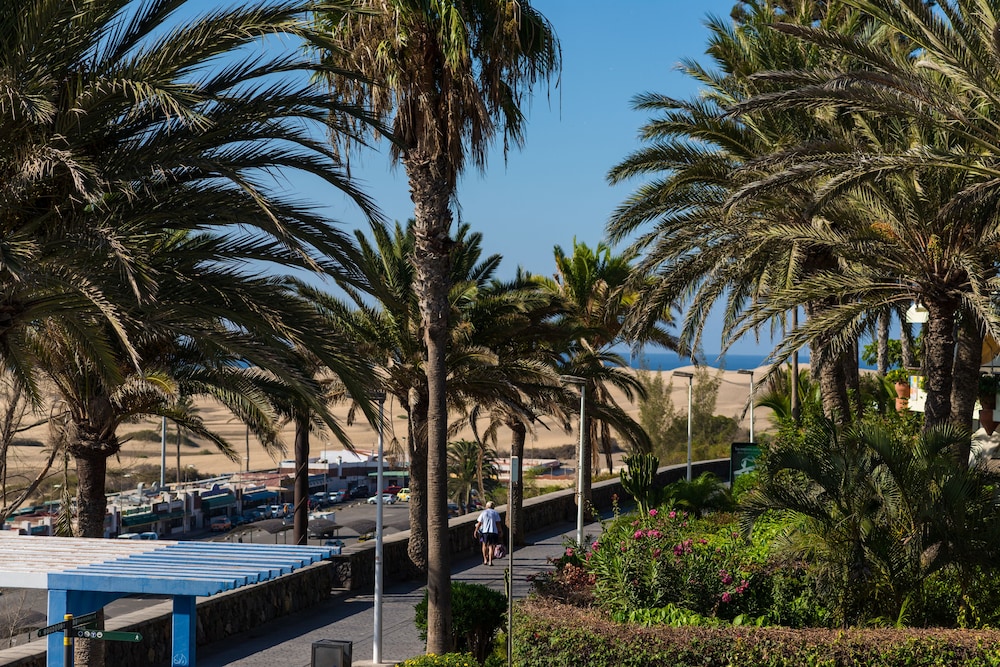 Apartamentos El Paseo — Attractions in the area in Playa del Ingles, Canary Islands