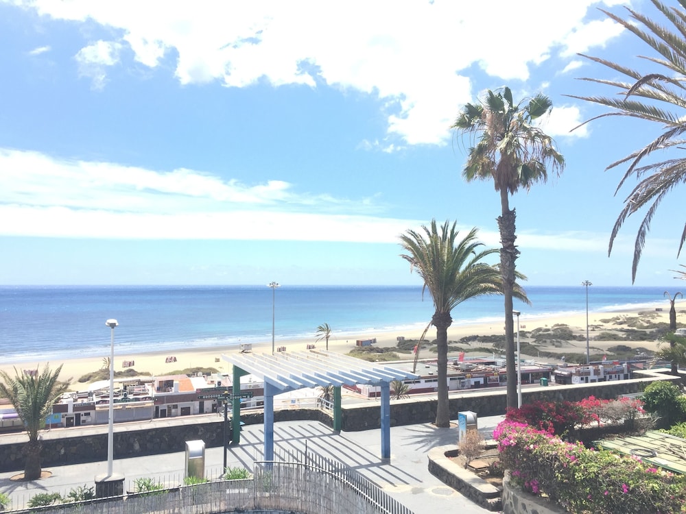 Apartamentos El Paseo — Attractions in the area in Playa del Ingles, Canary Islands