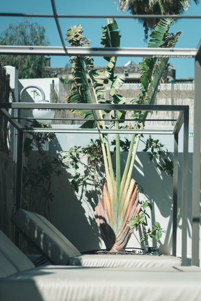 Apartamentos El Palmar — Hotel building in Playa del Ingles, Canary Islands