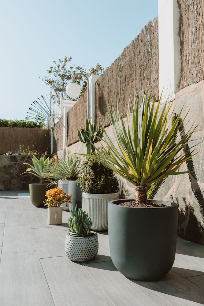 Apartamentos El Palmar — Hotel building in Playa del Ingles, Canary Islands