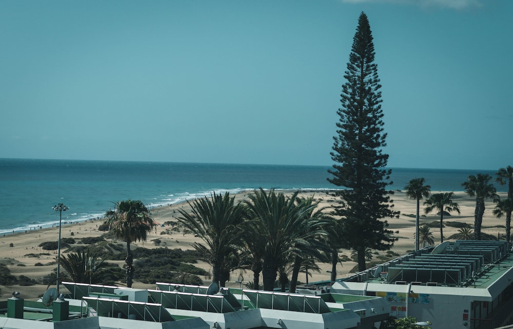 Apartamentos El Palmar — Beach in Playa del Ingles, Canary Islands