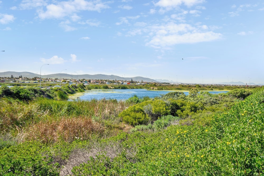 Dolphin Beach Hotel — Attractions in the area in Cape Town, Western Cape