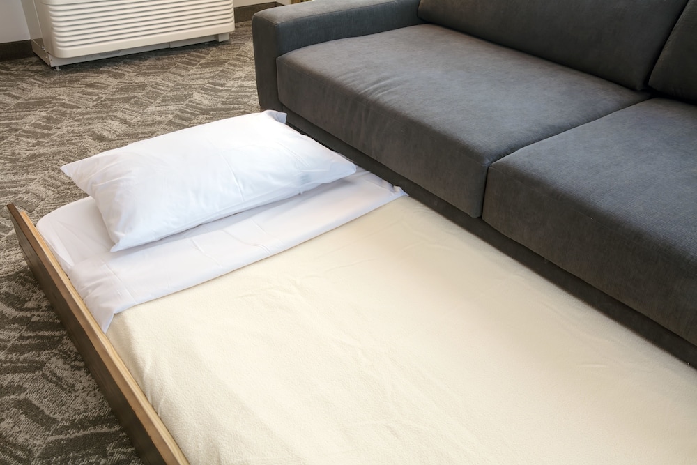 SpringHill Suites by Marriott Orlando Theme Parks/Lake Buena Vista — Hotel rooms in Orlando, Florida