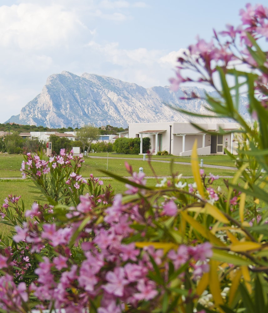 Resort Grande Baia — Attractions in the area in San Teodoro, Sardinia