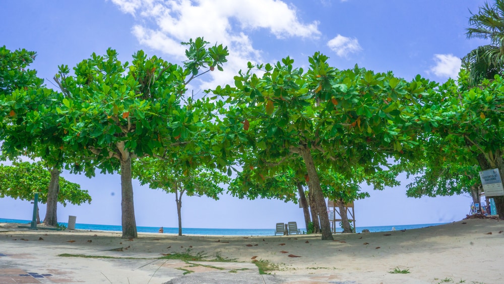 Negril Beach Club — Beach in Negril