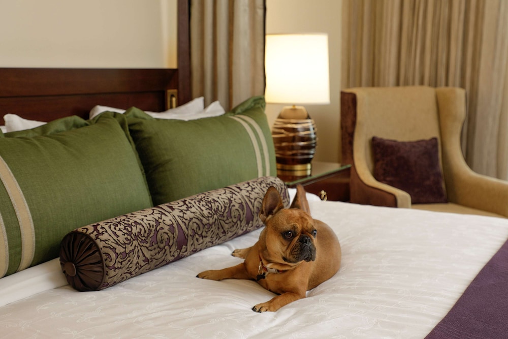 The Meritage Resort and Spa — Hotel rooms in Napa, California