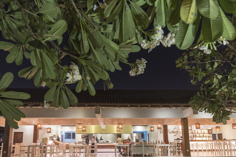 Pegasus Reef - A Beach Resort in Colombo — Restaurant & bars in Wattala, Western Province