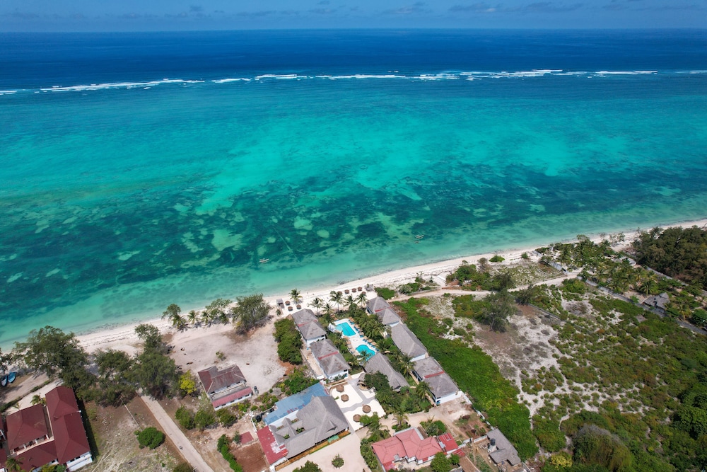Nest Style Beach Hotel Zanzibar — Beach in Makunduchi, Zanzibar South