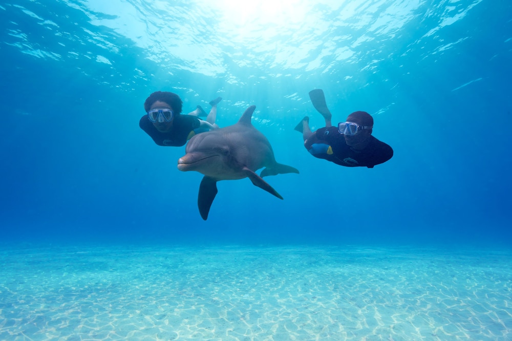 Harborside Resort & Vacation Rentals at Atlantis — Sports & recreation in Paradise Island, New Providence