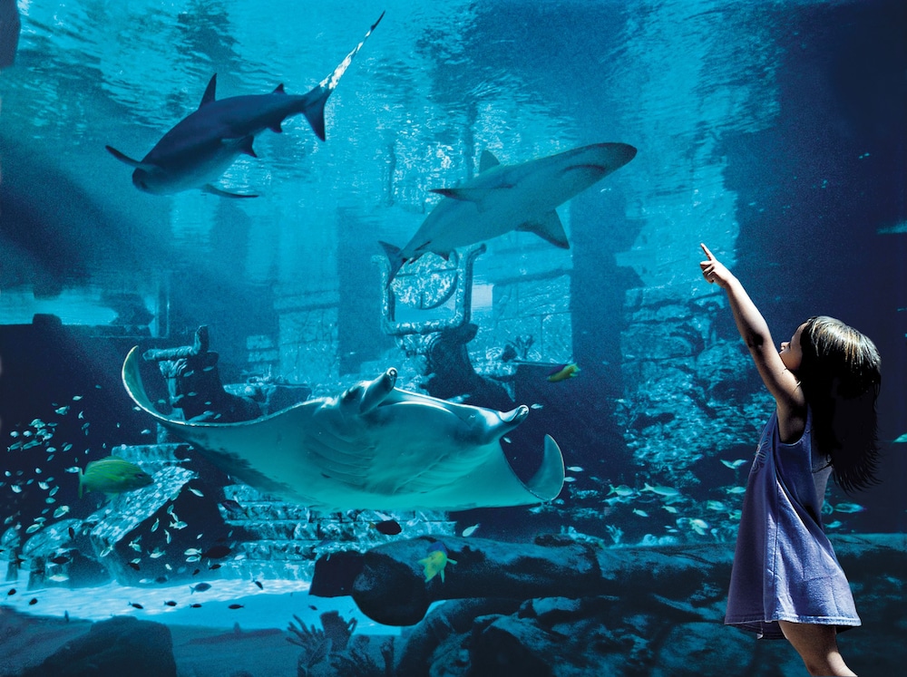 Harborside Resort & Vacation Rentals at Atlantis — Attractions for children in Paradise Island, New Providence