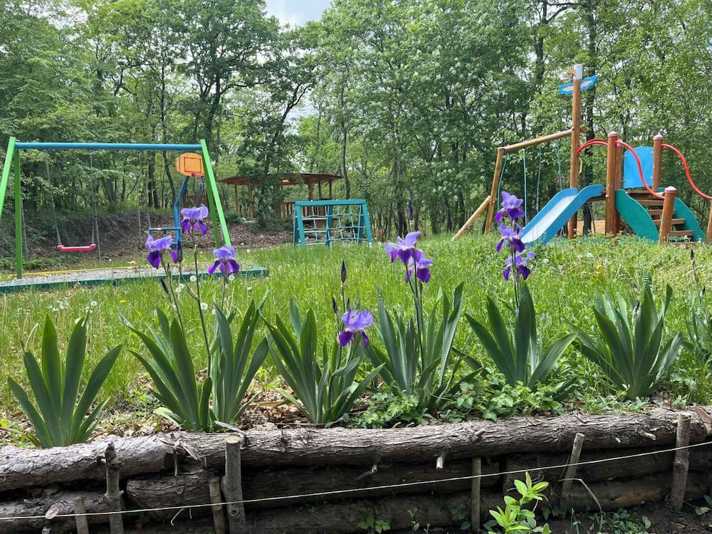 Park Hotel Bellevue — Attractions for children in Golden Sands, Varna Region