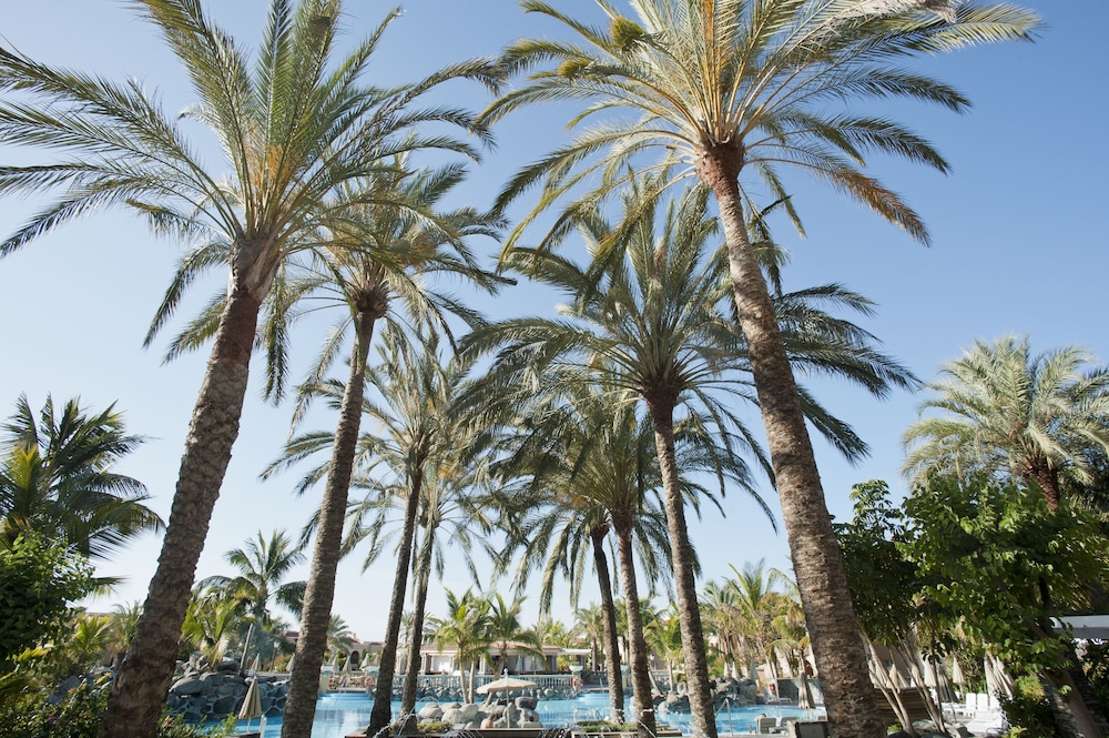 Palm Oasis Maspalomas — Outdoor in Maspalomas, Canary Islands