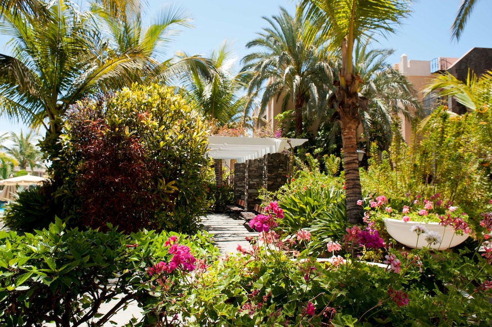 Palm Oasis Maspalomas — Outdoor in Maspalomas, Canary Islands