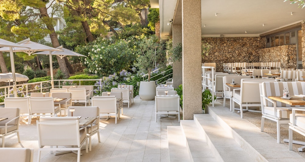 Maestral Adults Exclusive Hotel — Restaurant & bars in Brela, Split-Dalmatia