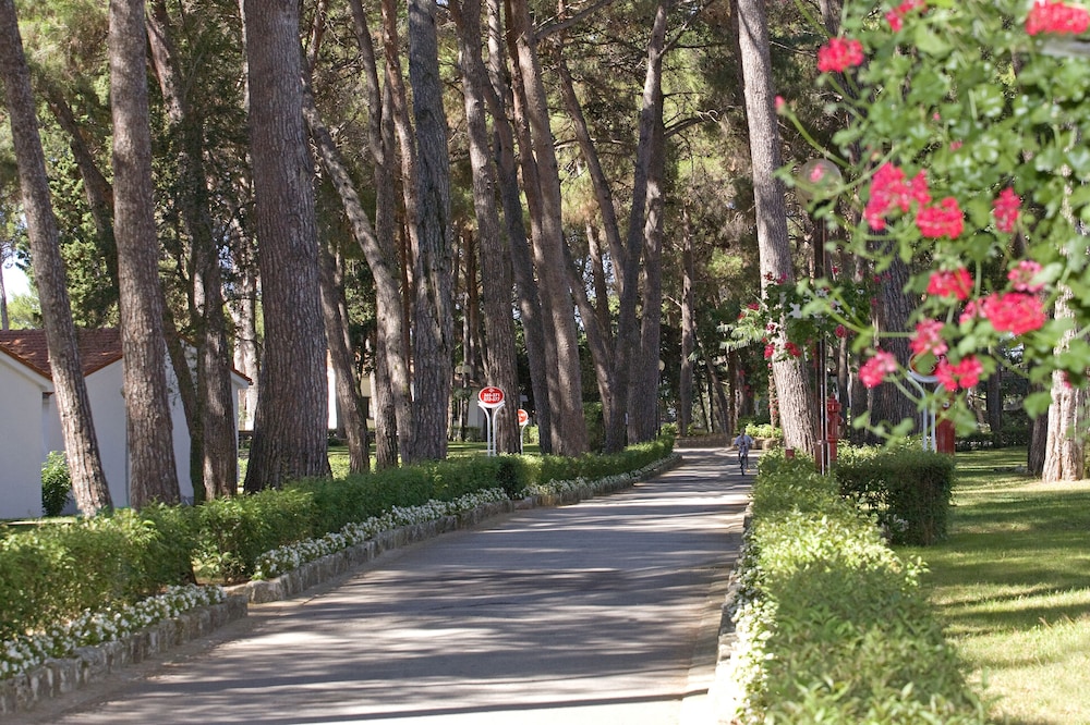 Villa Galijot Plava Laguna — Attractions in the area in Poreč, Istria