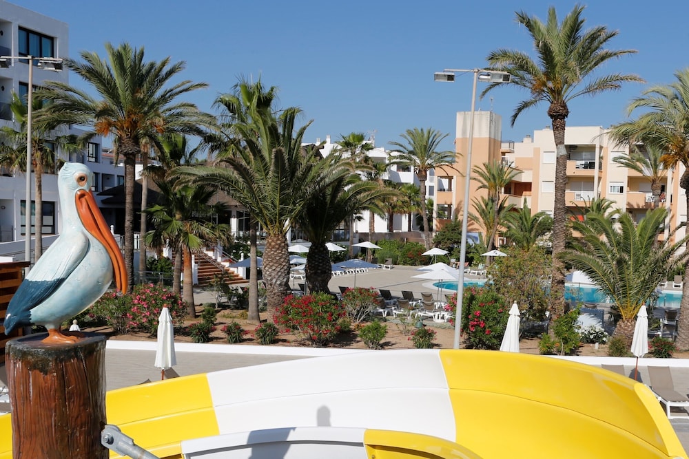 Marvell Club Aparthotel — Swimming pool in San Antonio, Balearic Islands