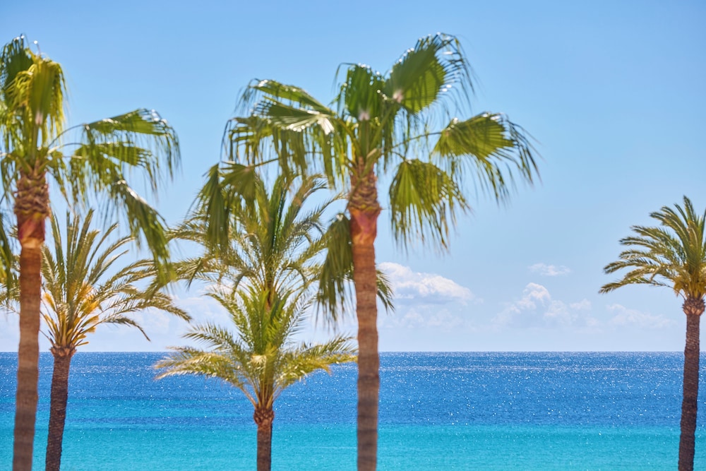Universal Hotel Bikini — Beach in Cala Millor, Balearic Islands