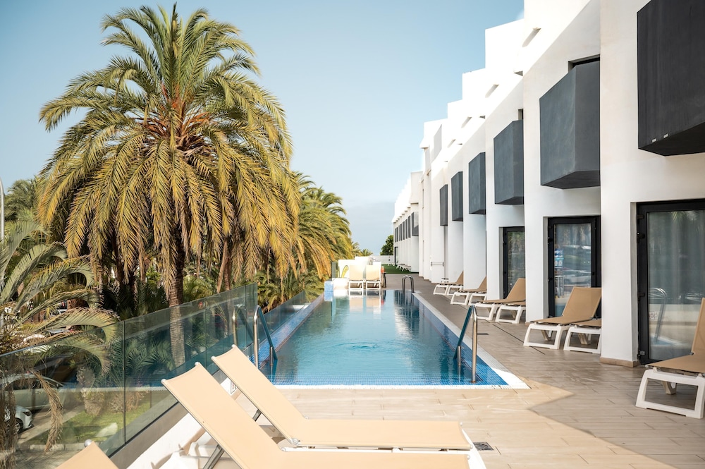 ALEGRIA Barranco — Main photo in Playa de las Americas, Canary Islands