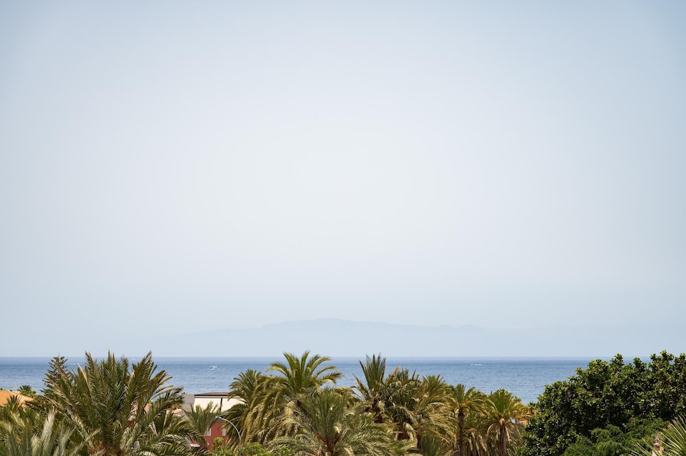 ALEGRIA Barranco — Beach in Playa de las Americas, Canary Islands