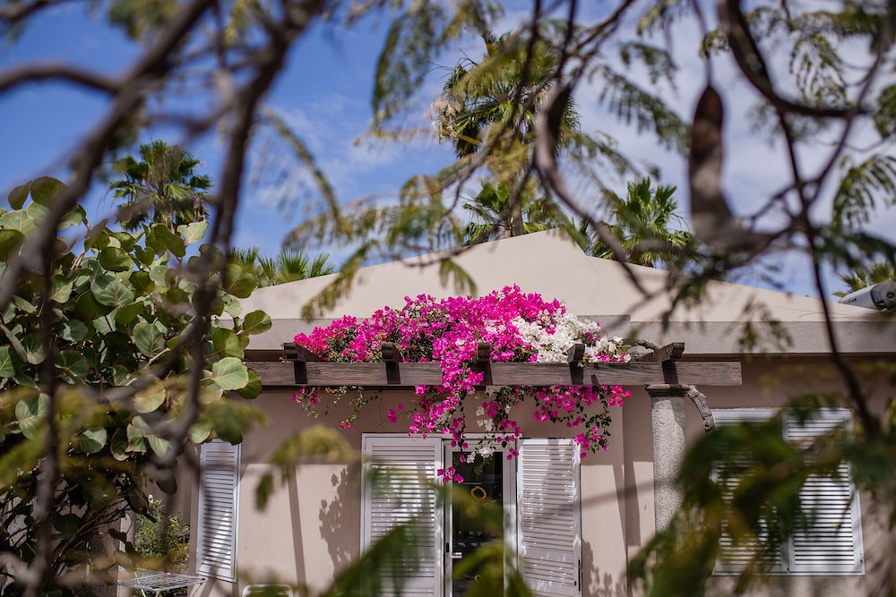 Caybeach Princess — Hotel building in Maspalomas, Canary Islands