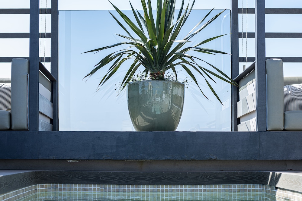 Palma Suites Aparthotel — Swimming pool in Palma de Mallorca, Balearic Islands