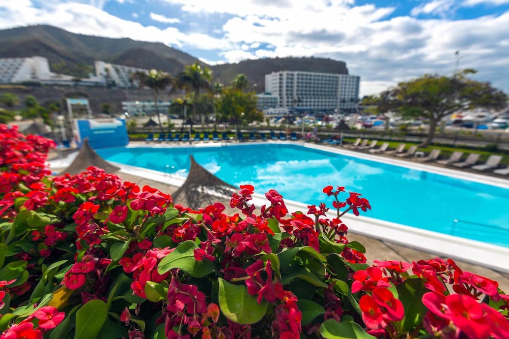 Apartamentos Portonovo — Swimming pool in Puerto Rico, Canary Islands