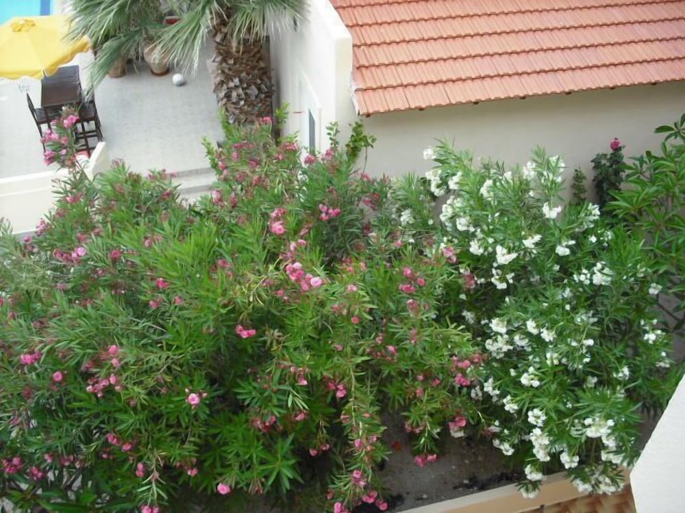 Summer Memories Hotel Apartments — Hotel building in Pefkos, South Aegean