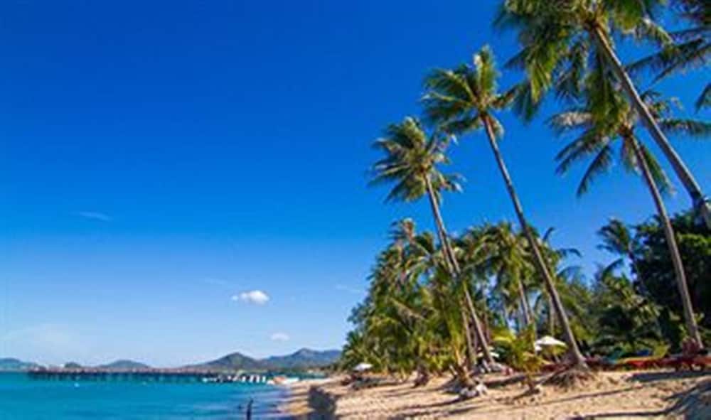 Coco Palm Beach Resort — Beach in Mae Nam, Surat Thani