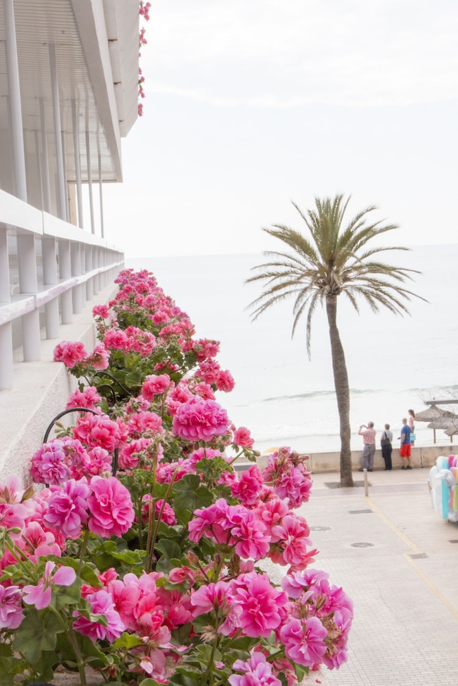 Hotel Voramar Mallorca — Beach in Cala Millor, Balearic Islands